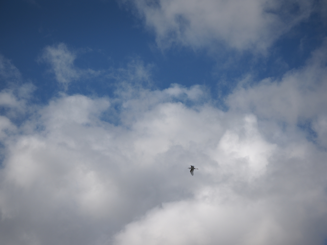 P9190415.jpg