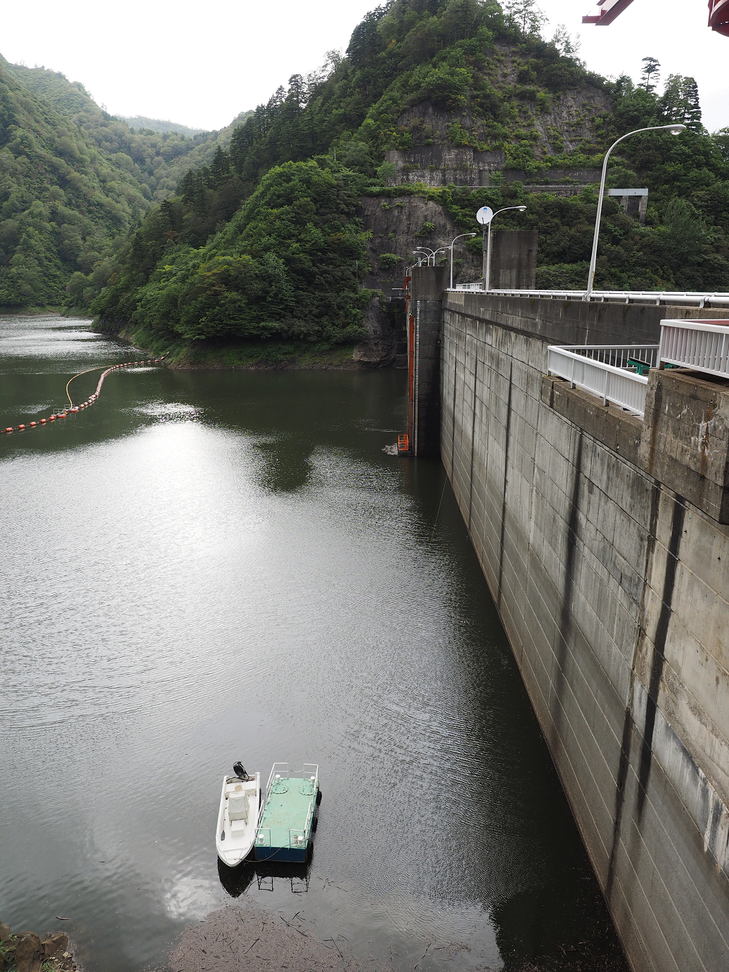 P9190446.jpg