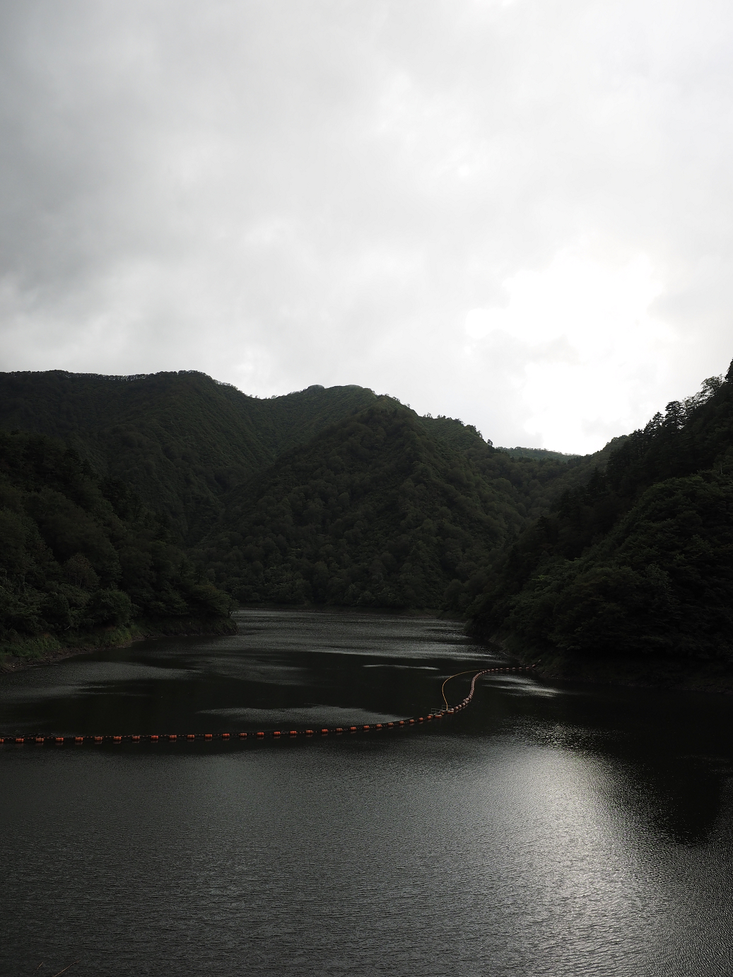 P9190450.jpg