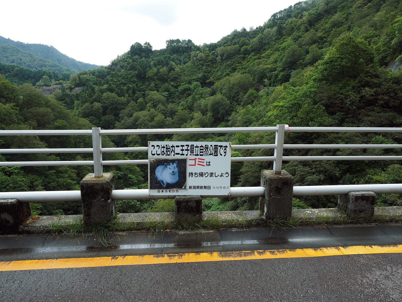 P9190456.jpg