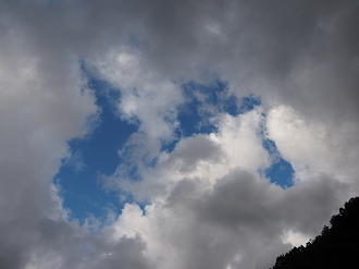 P9190465_thumb.png