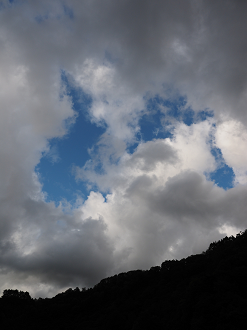 P9190466_thumb.png