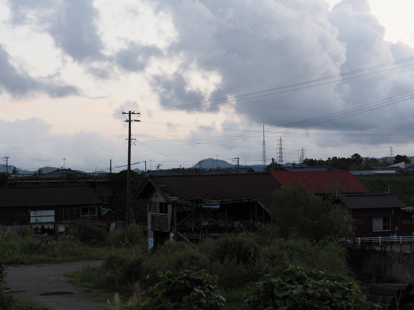 P9190469.jpg