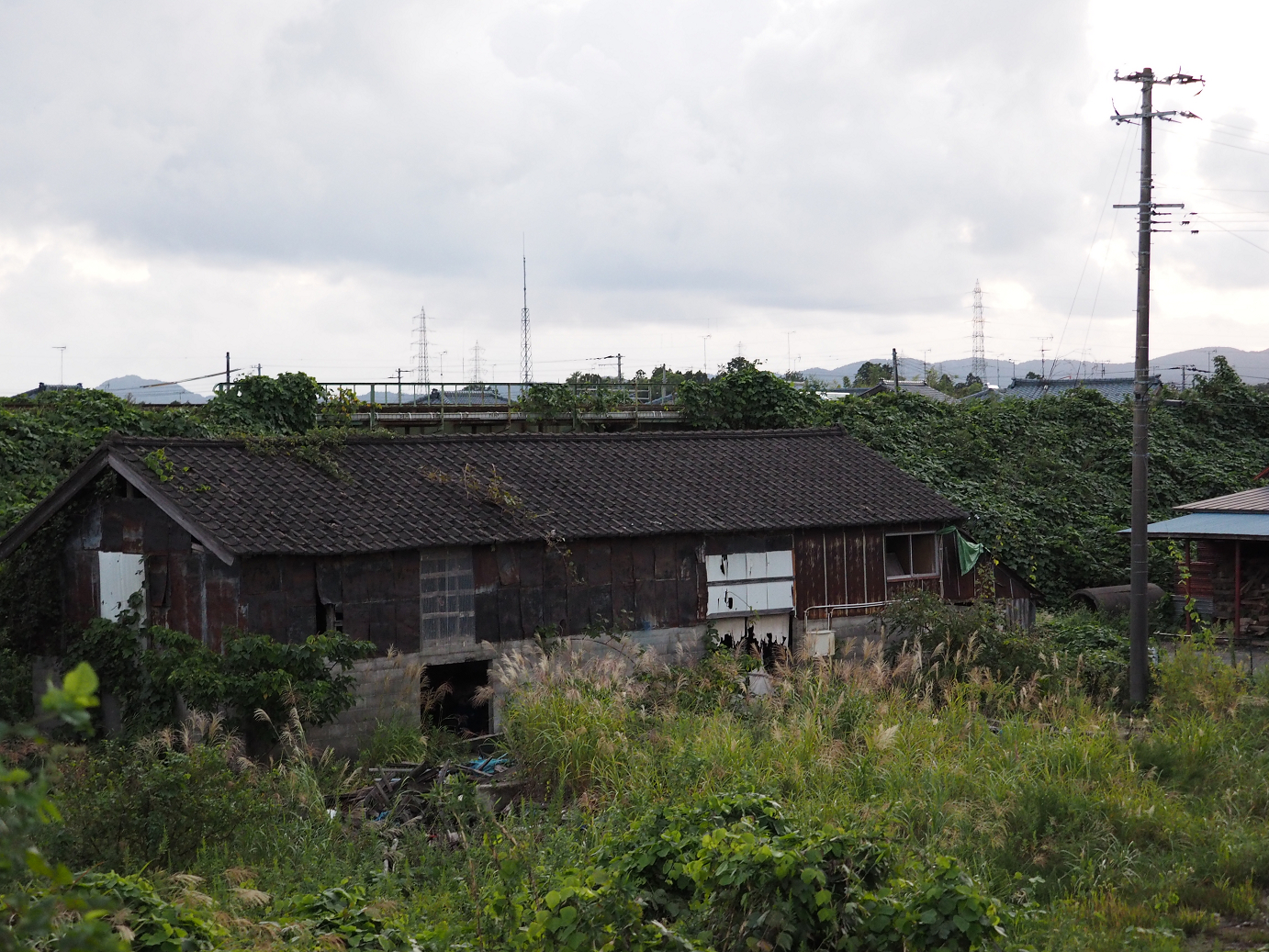 P9190478.jpg