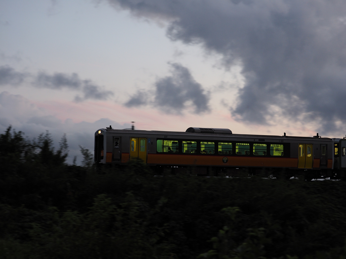 P9190489.jpg