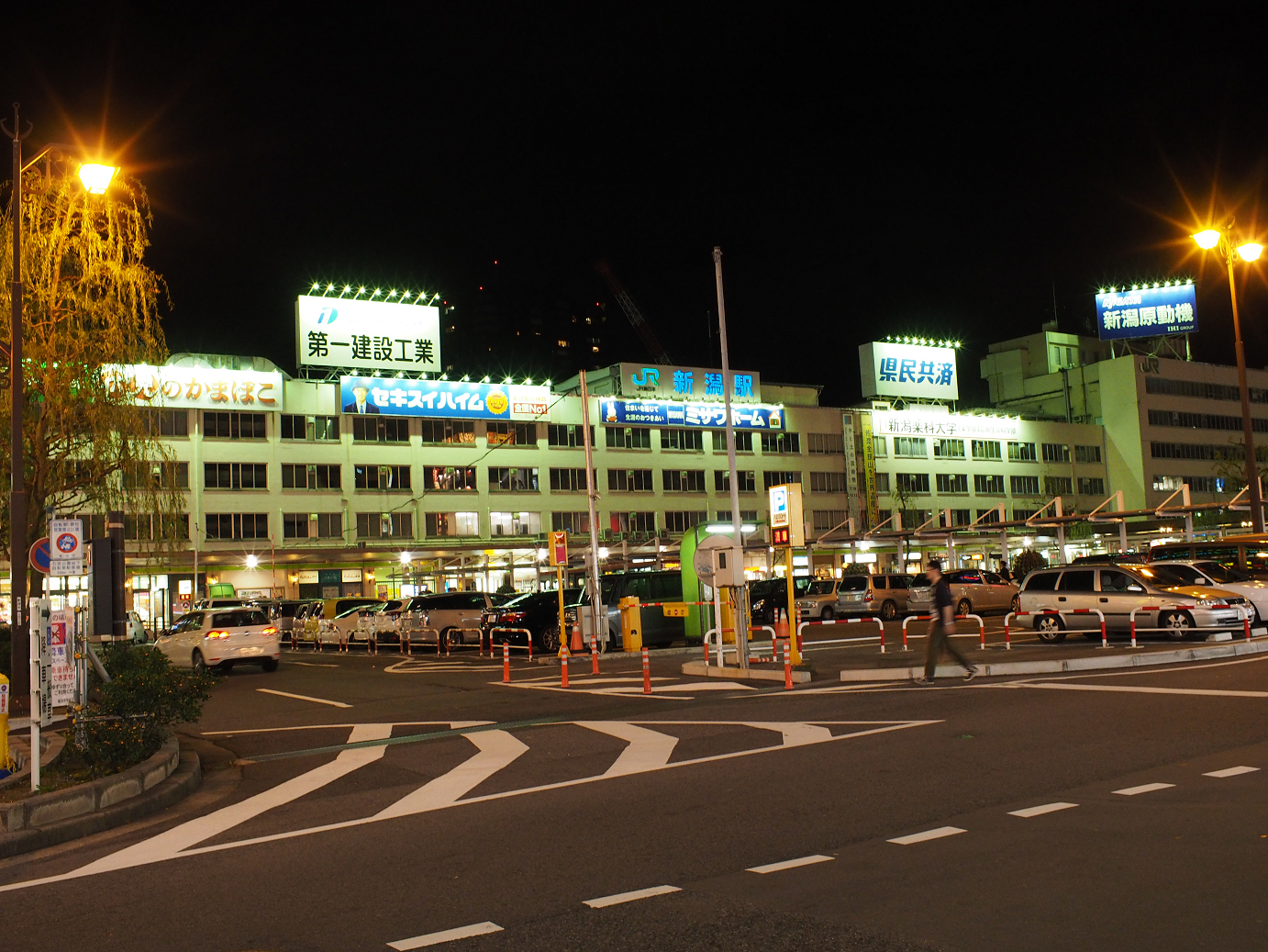 P9190563.jpg