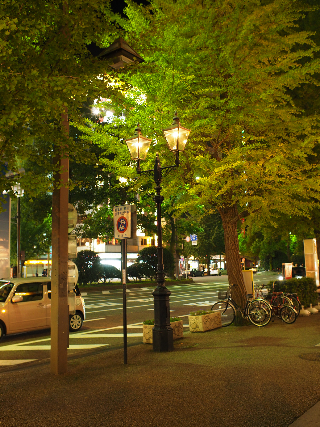 P9190565.jpg