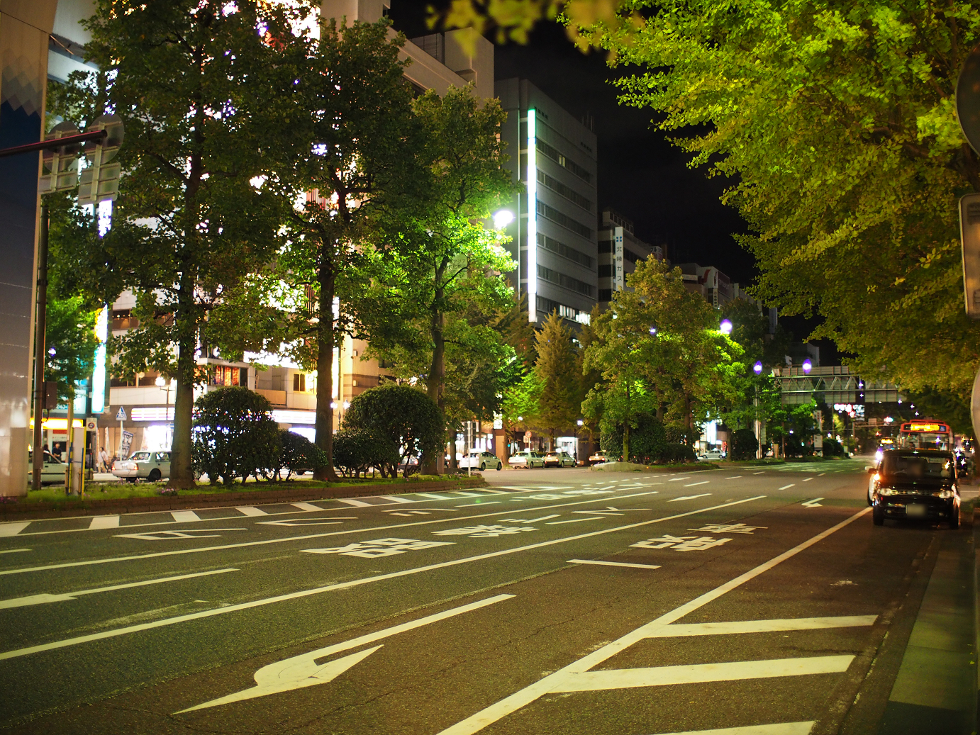 P9190566.jpg