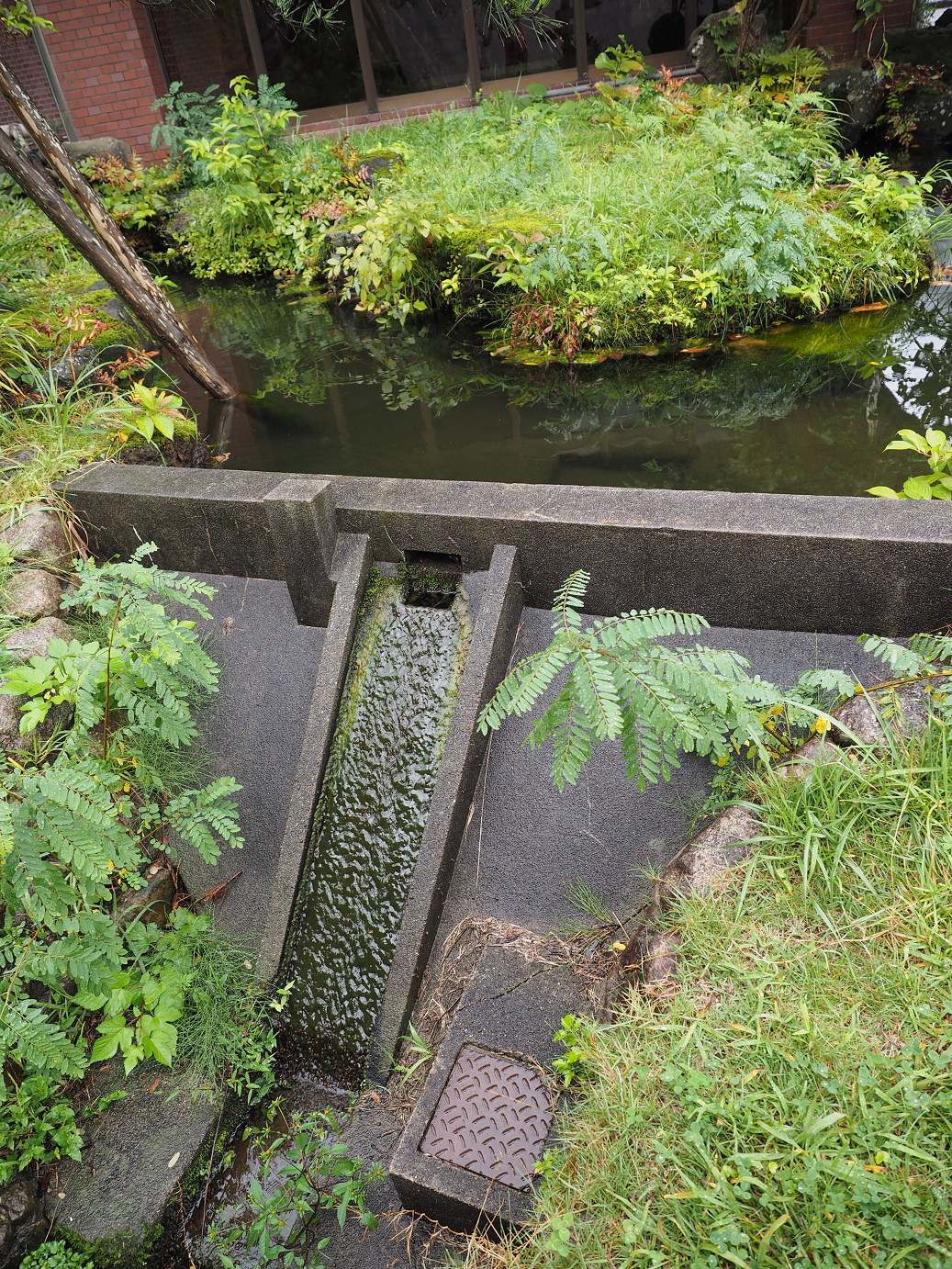 P9200616.jpg