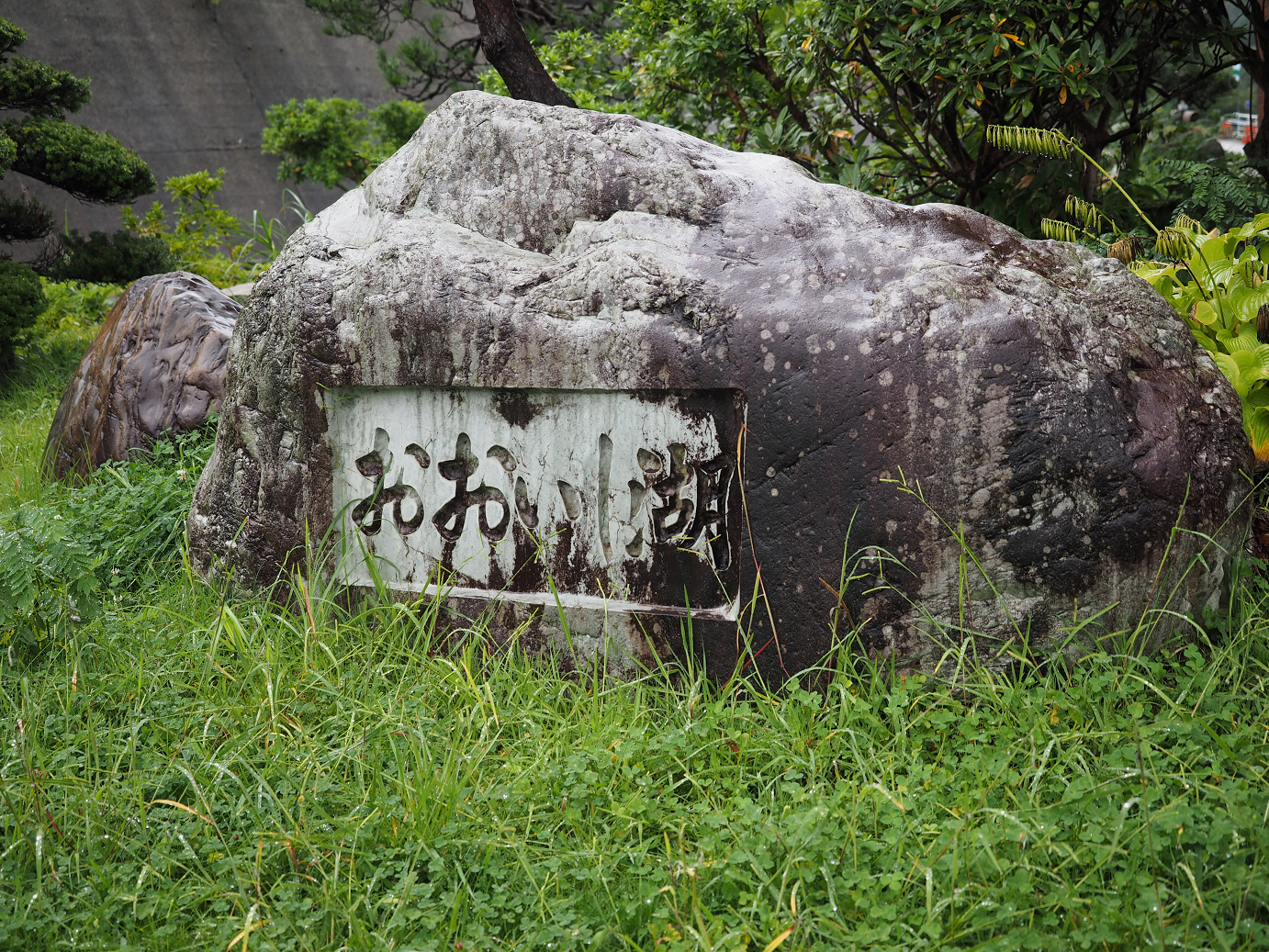 P9200646.jpg