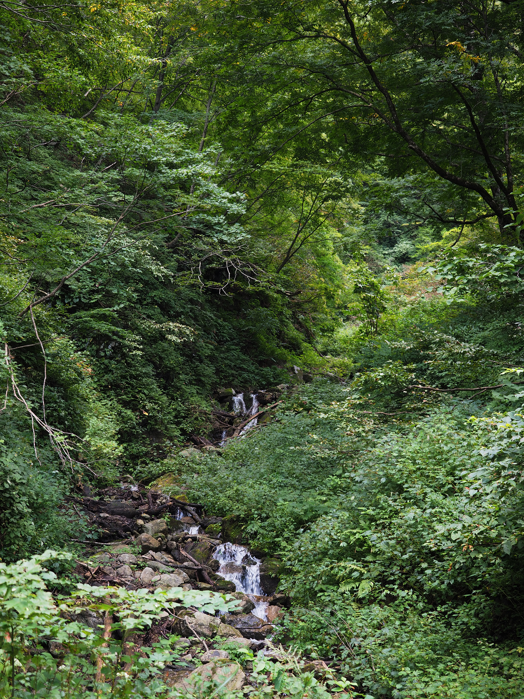 P9201024.jpg