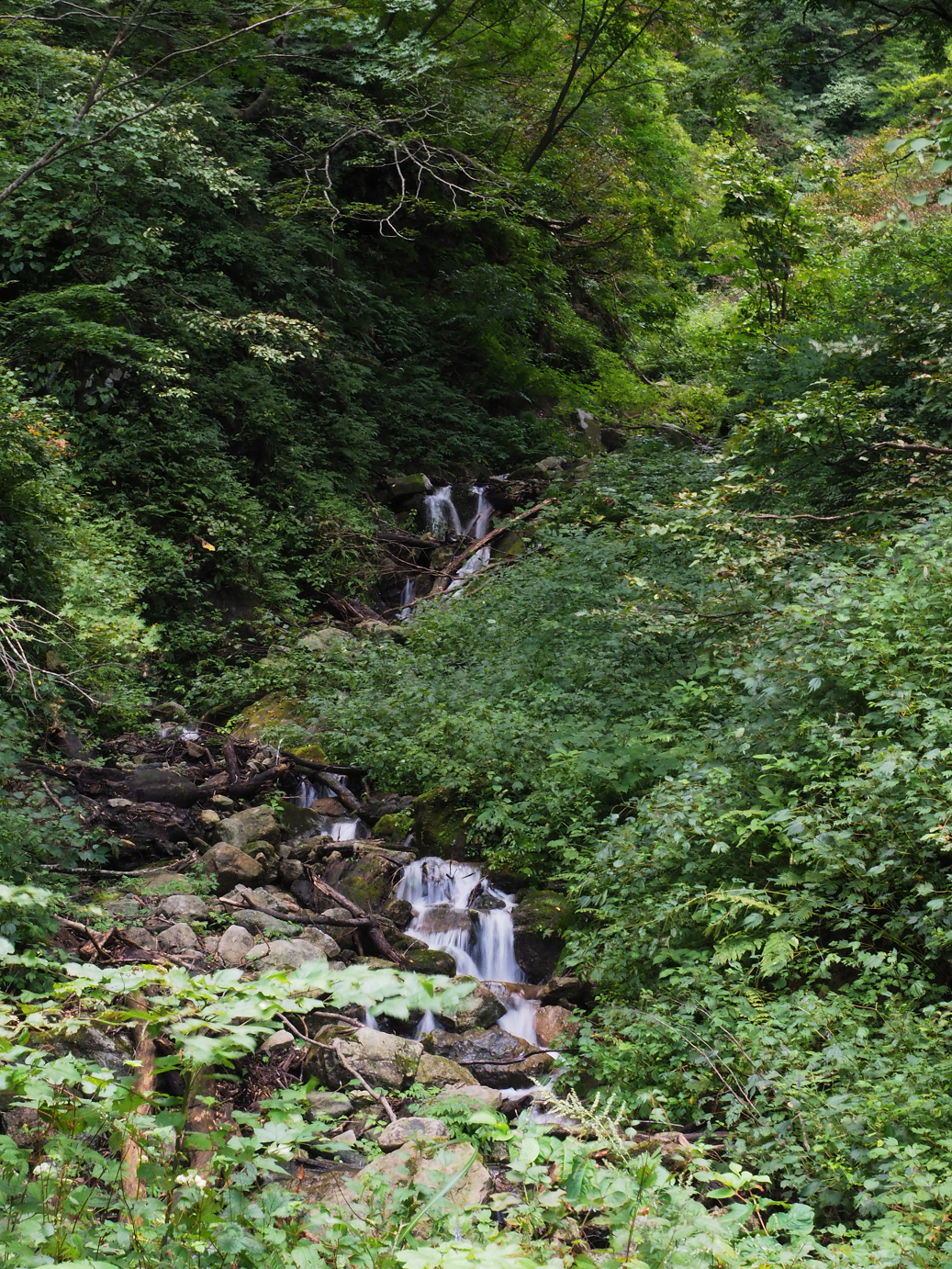 P9201028.jpg
