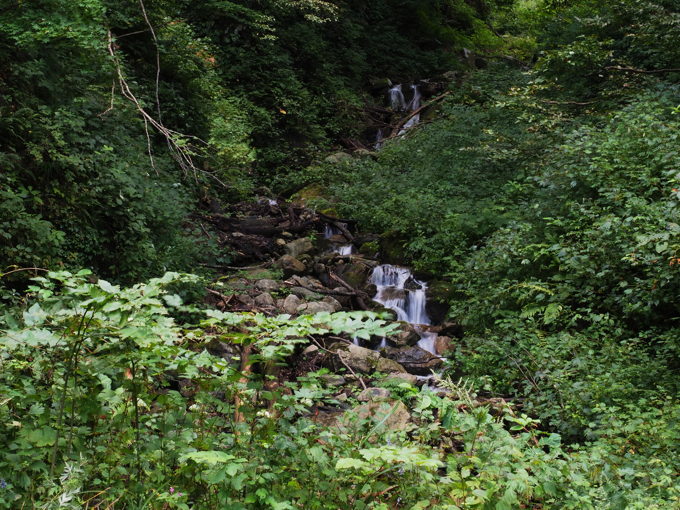 P9201029.jpg