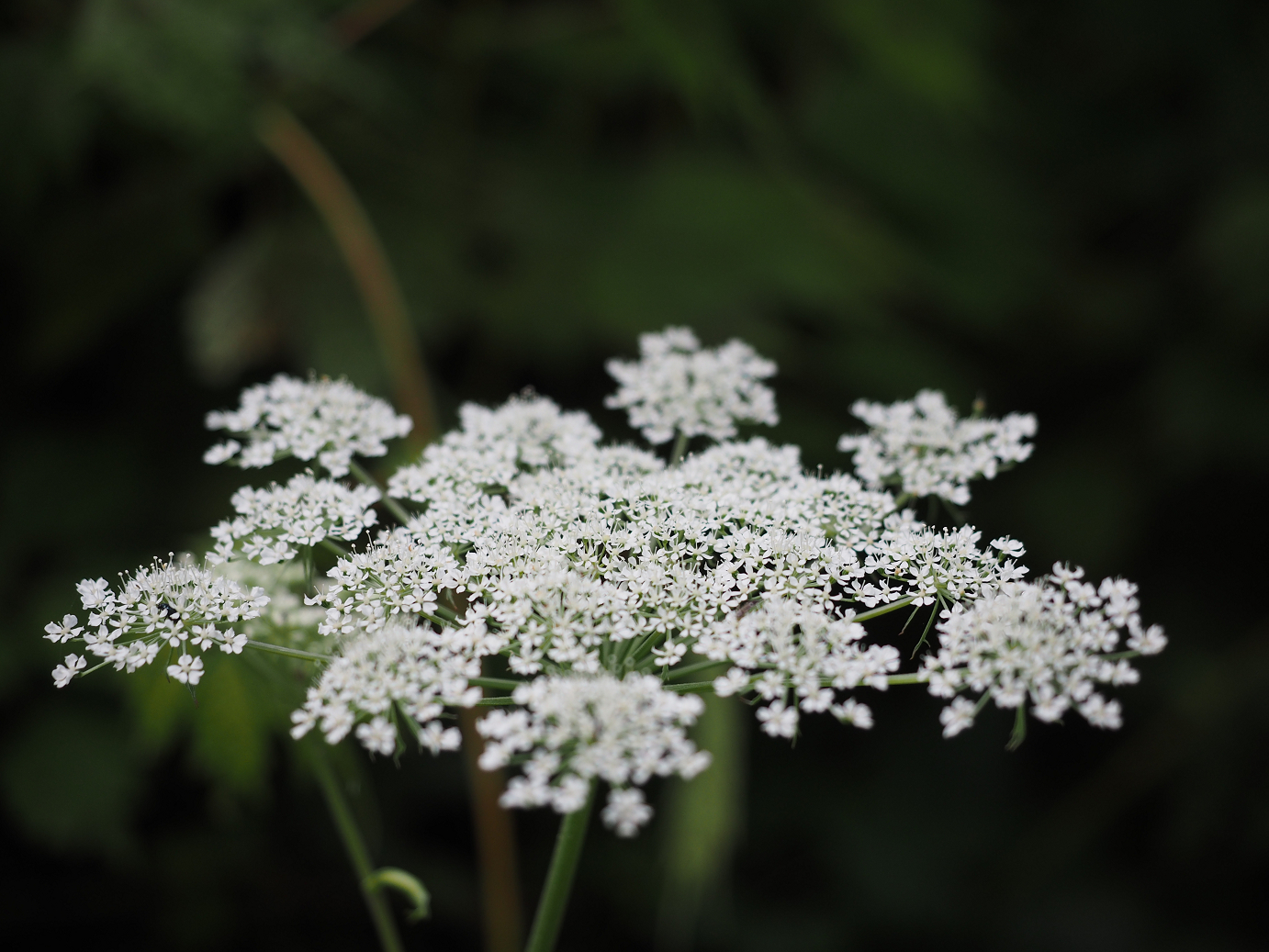P9201046.jpg