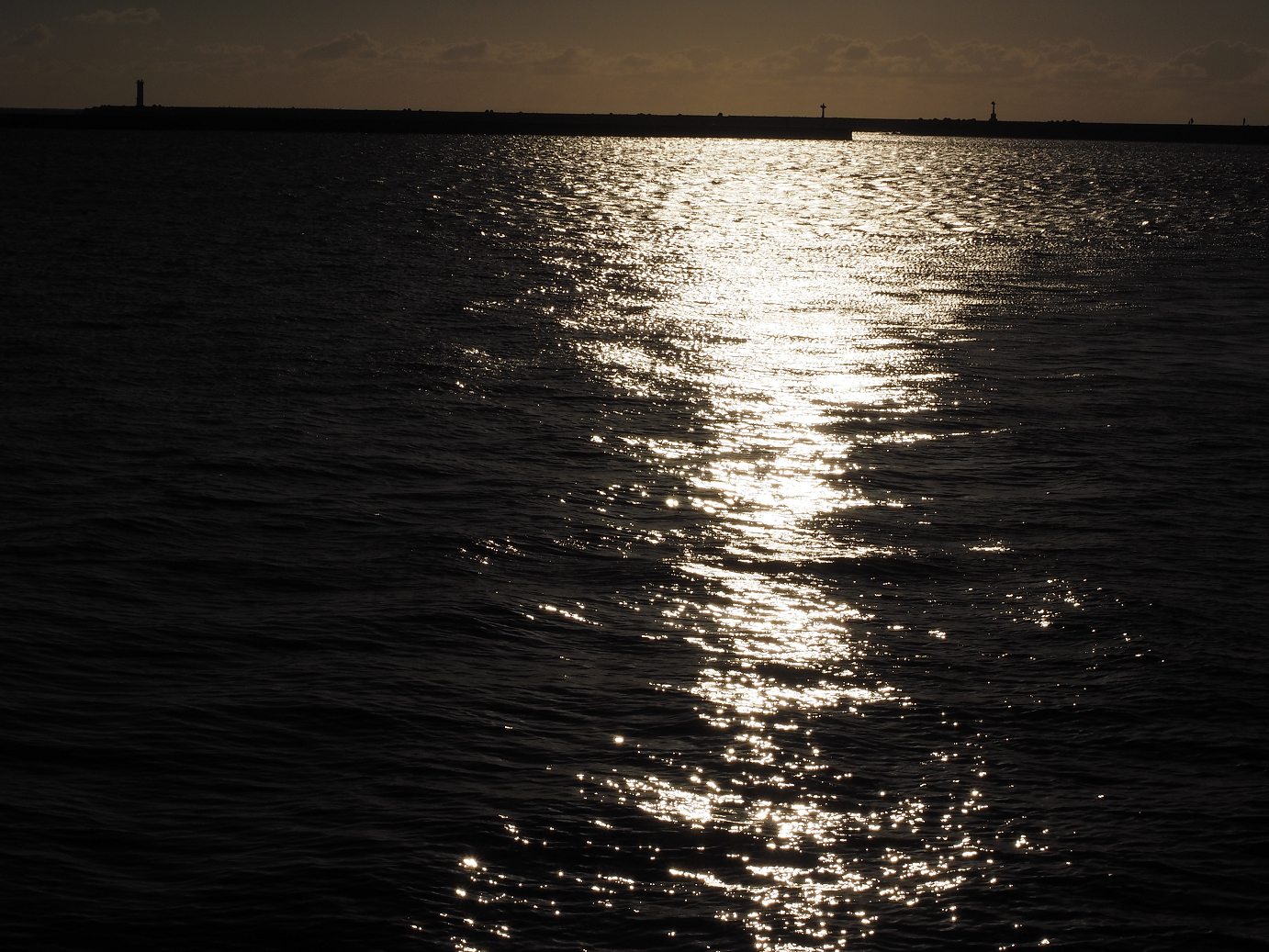 P9201106.jpg