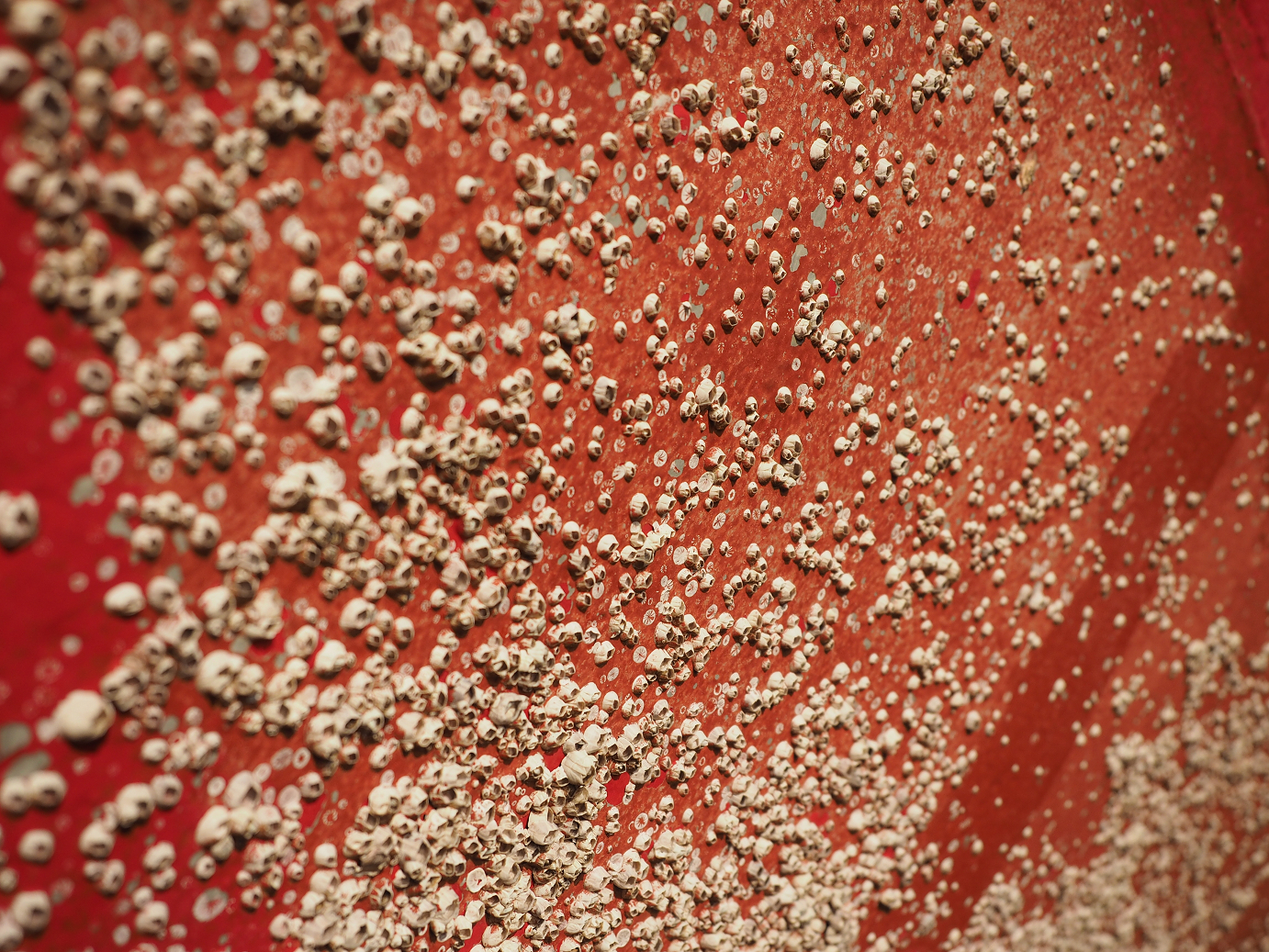 P9201154.jpg