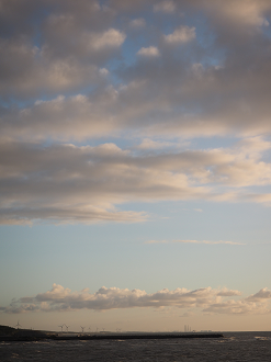 P9201178_thumb.png