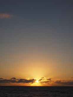 P9201254_thumb.png