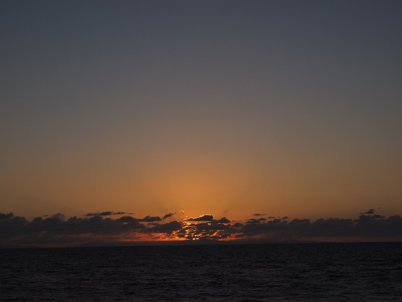 P9201269.jpg