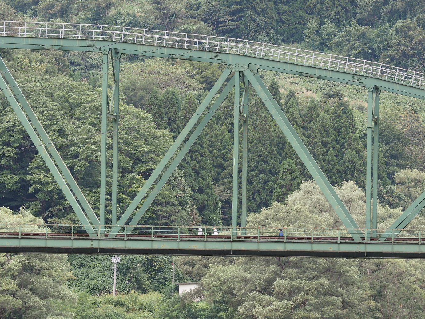 P9211420.jpg