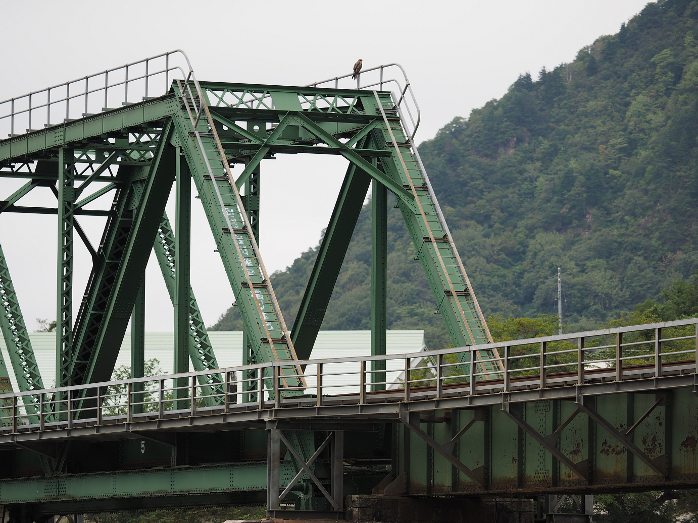 P9211424.jpg