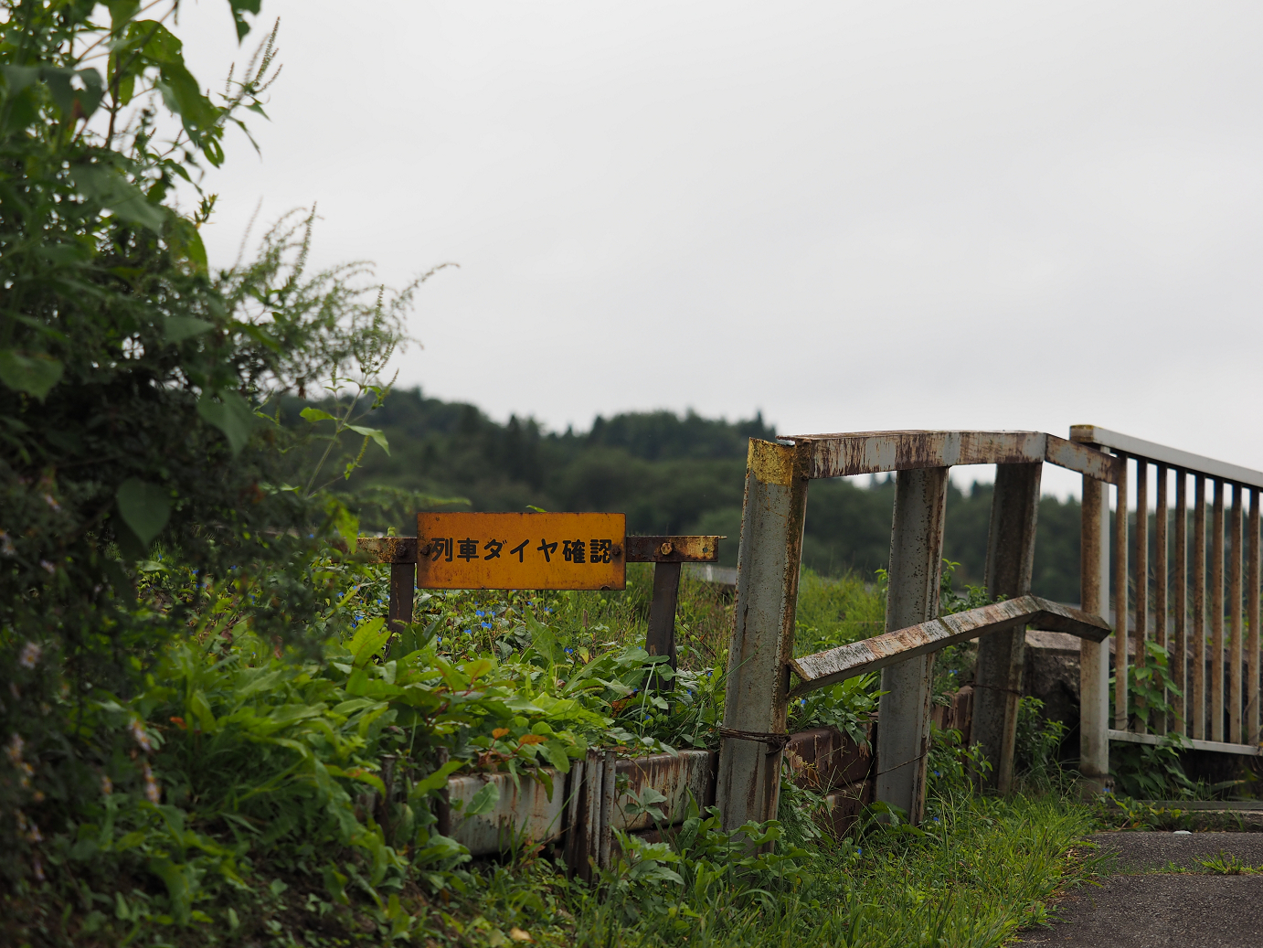 P9211426.jpg