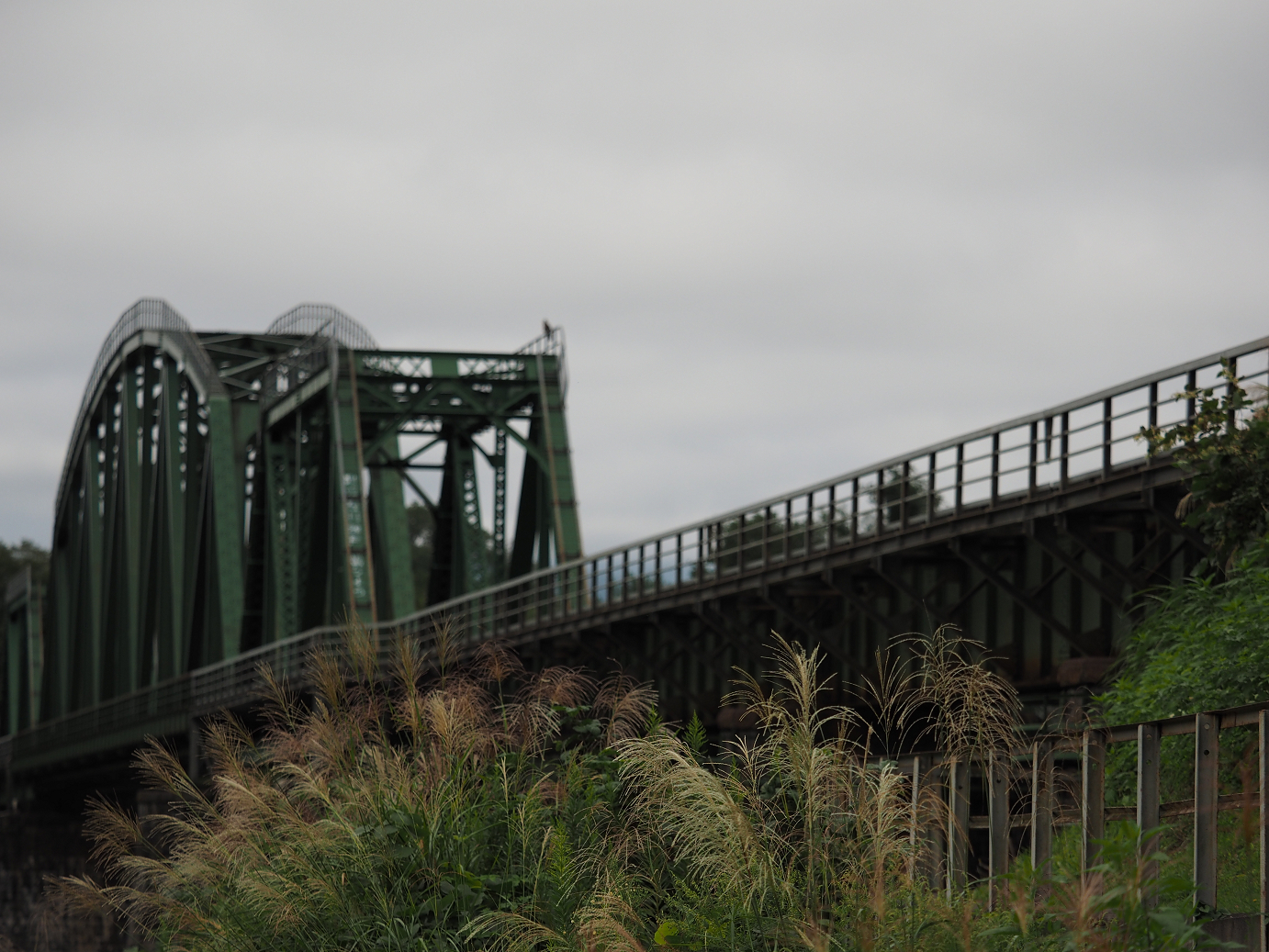 P9211427.jpg