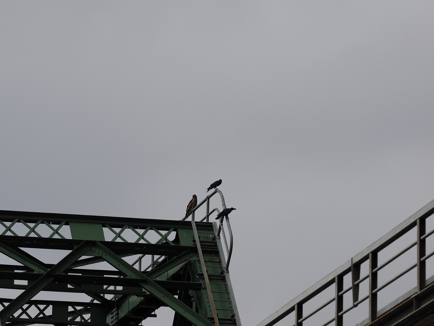 P9211447.jpg