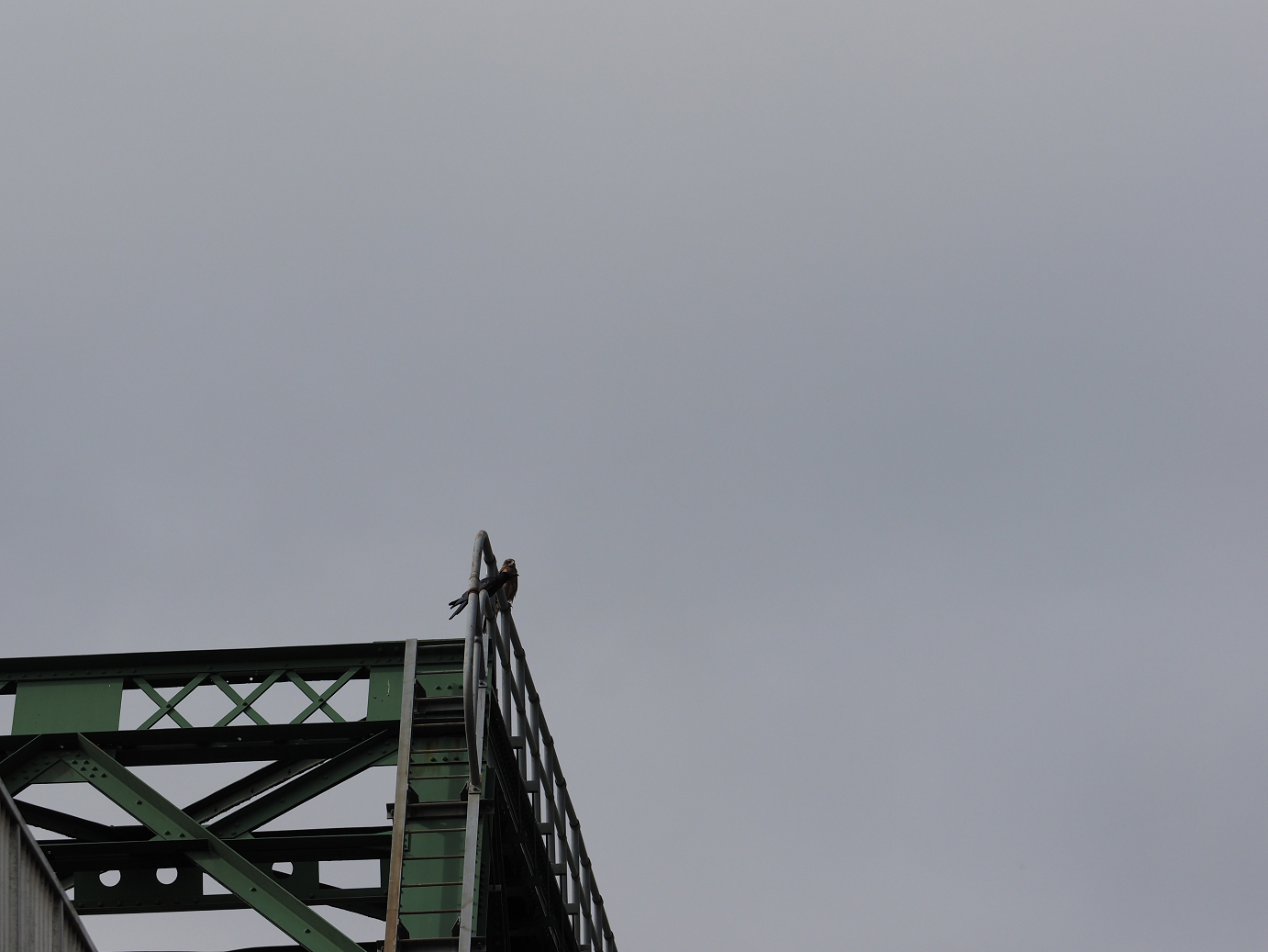 P9211450.jpg