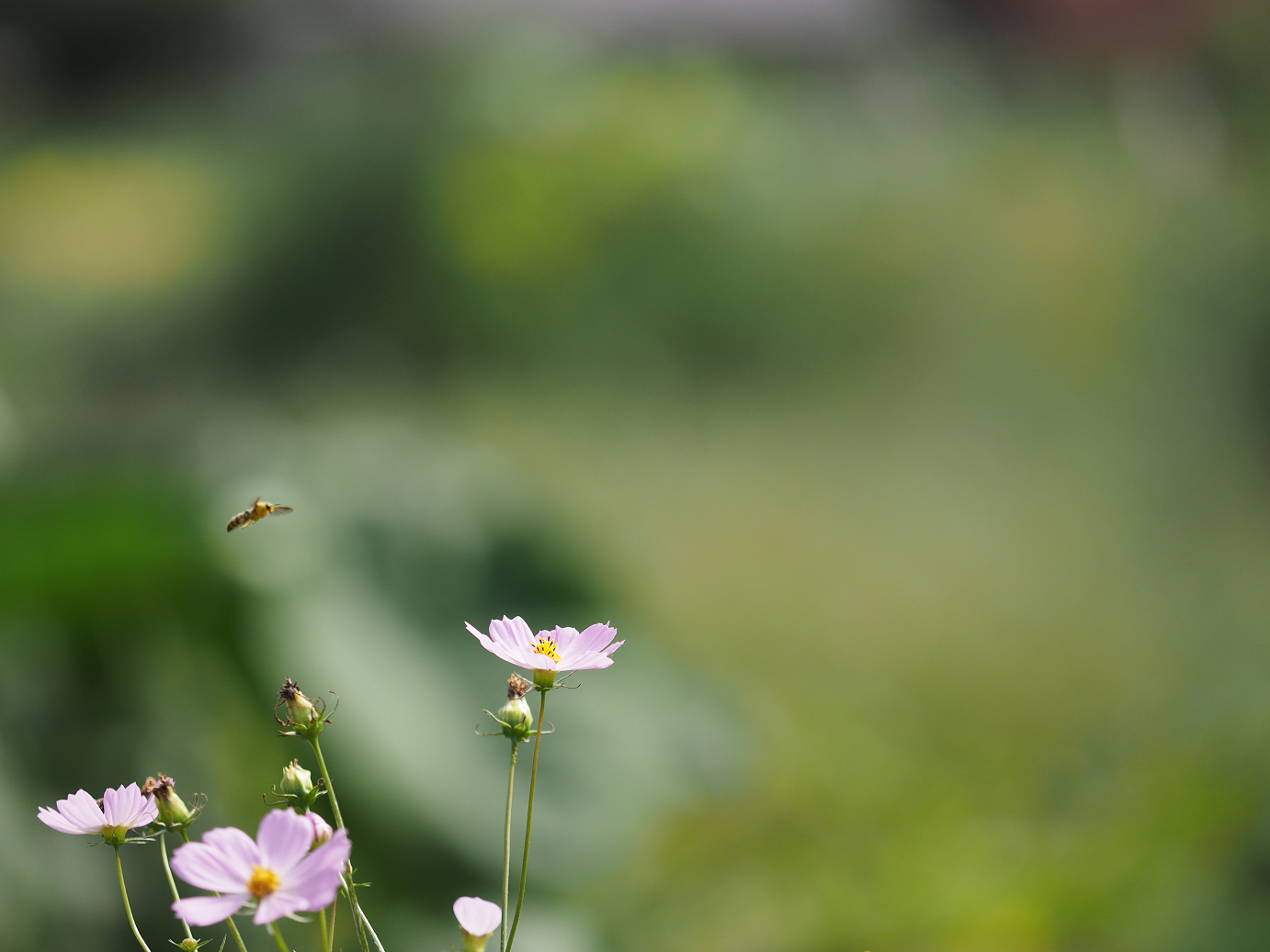 P9211472.jpg