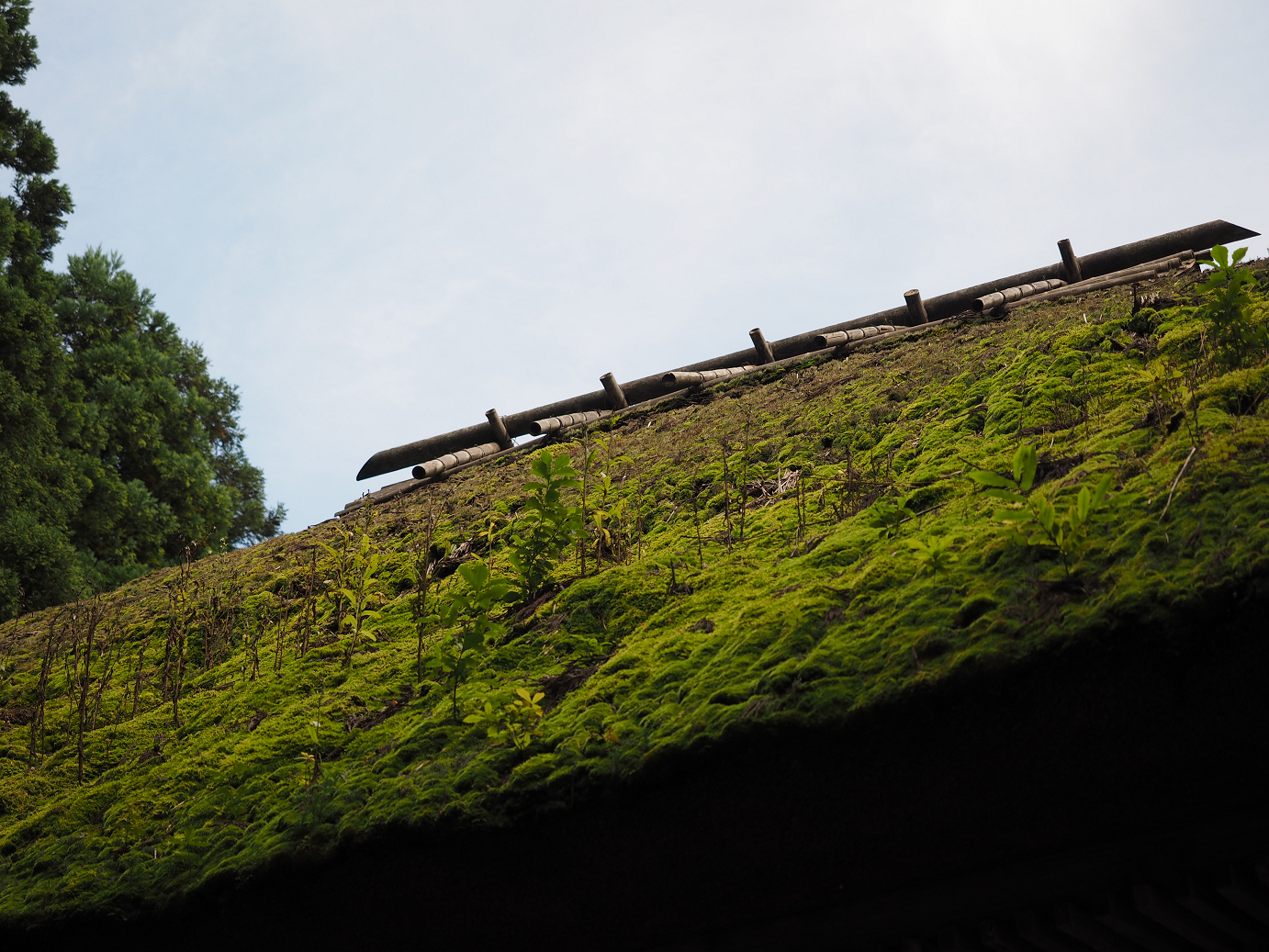 P9211595.jpg