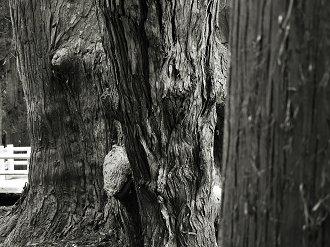 P9211641_thumb.png