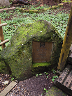 P9211650_thumb.png