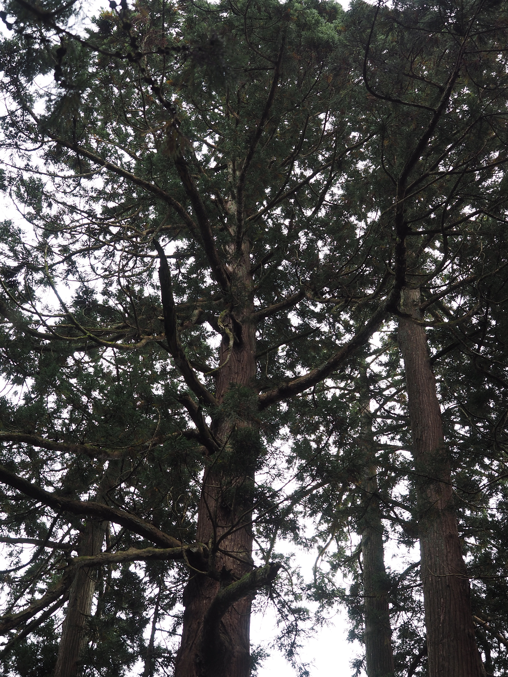 P9211654.jpg