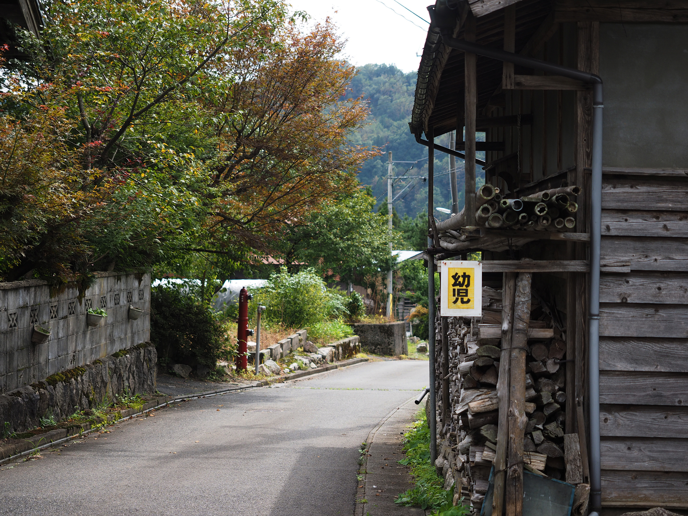 P9211667.jpg