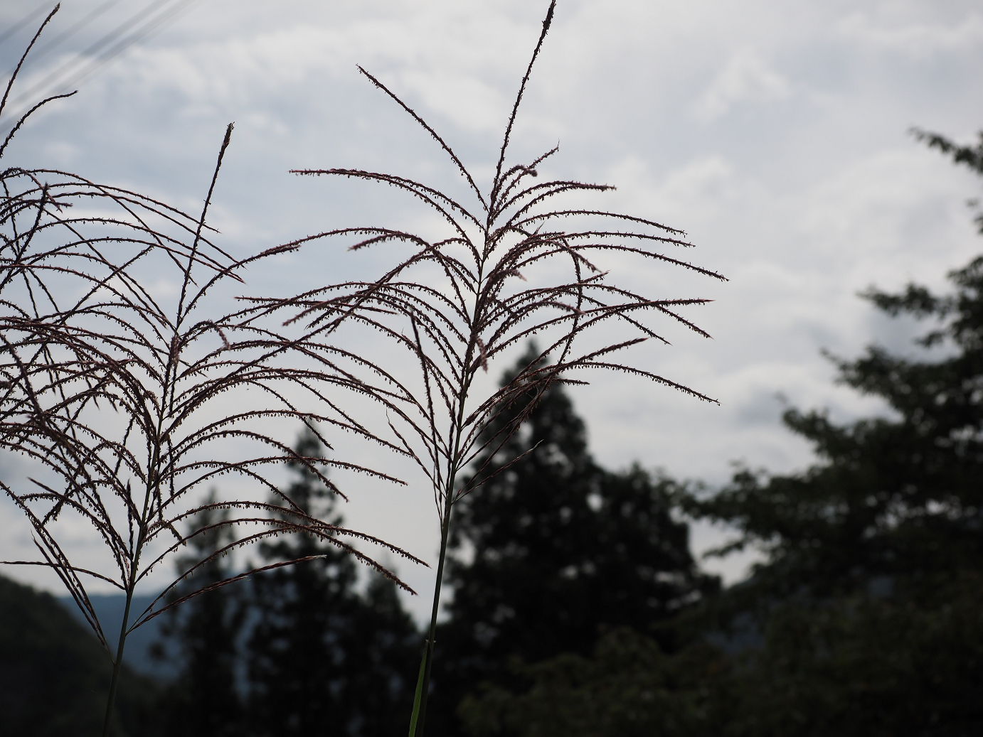 P9211696.jpg