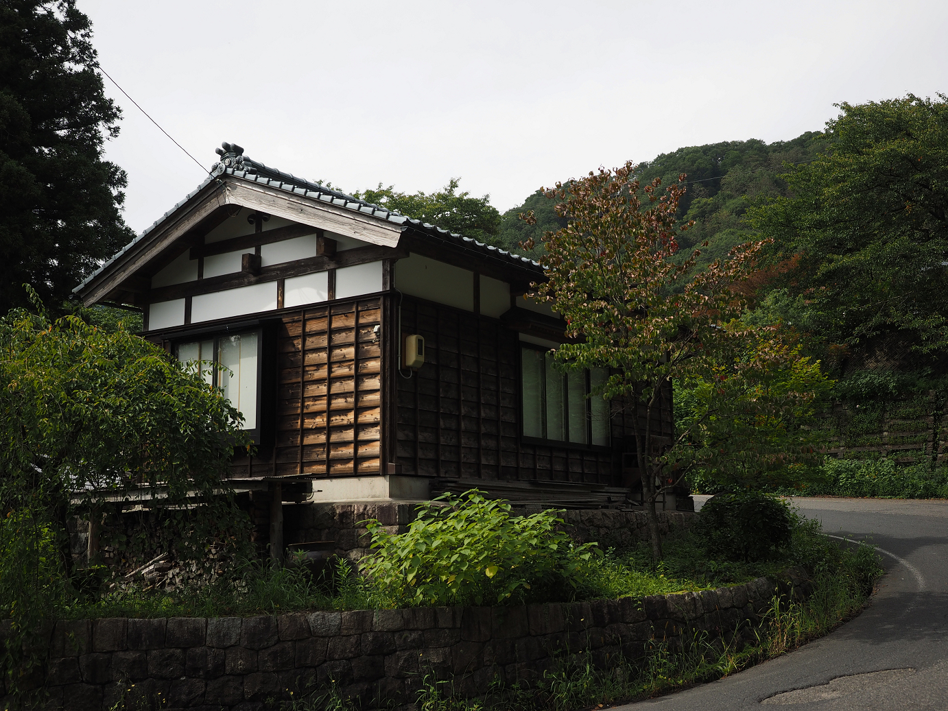 P9211702.jpg