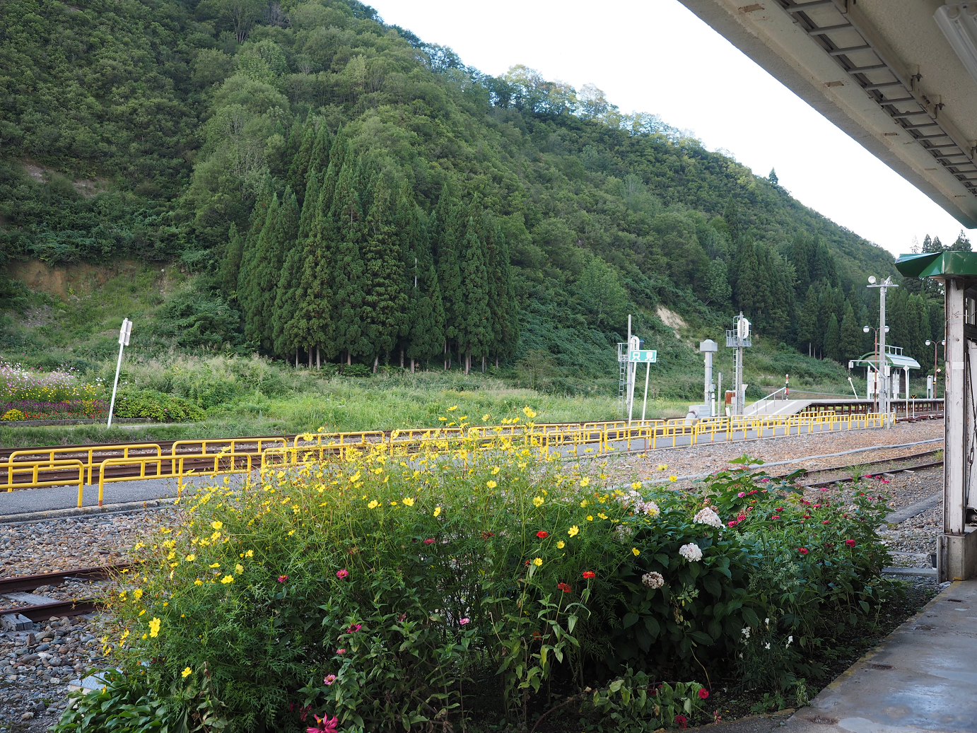 P9211743.jpg