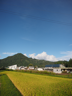 P9211776_thumb.png