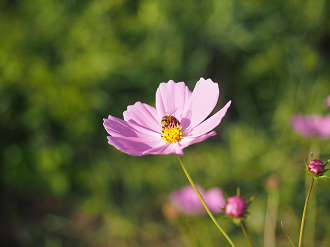 P9211791_thumb.png