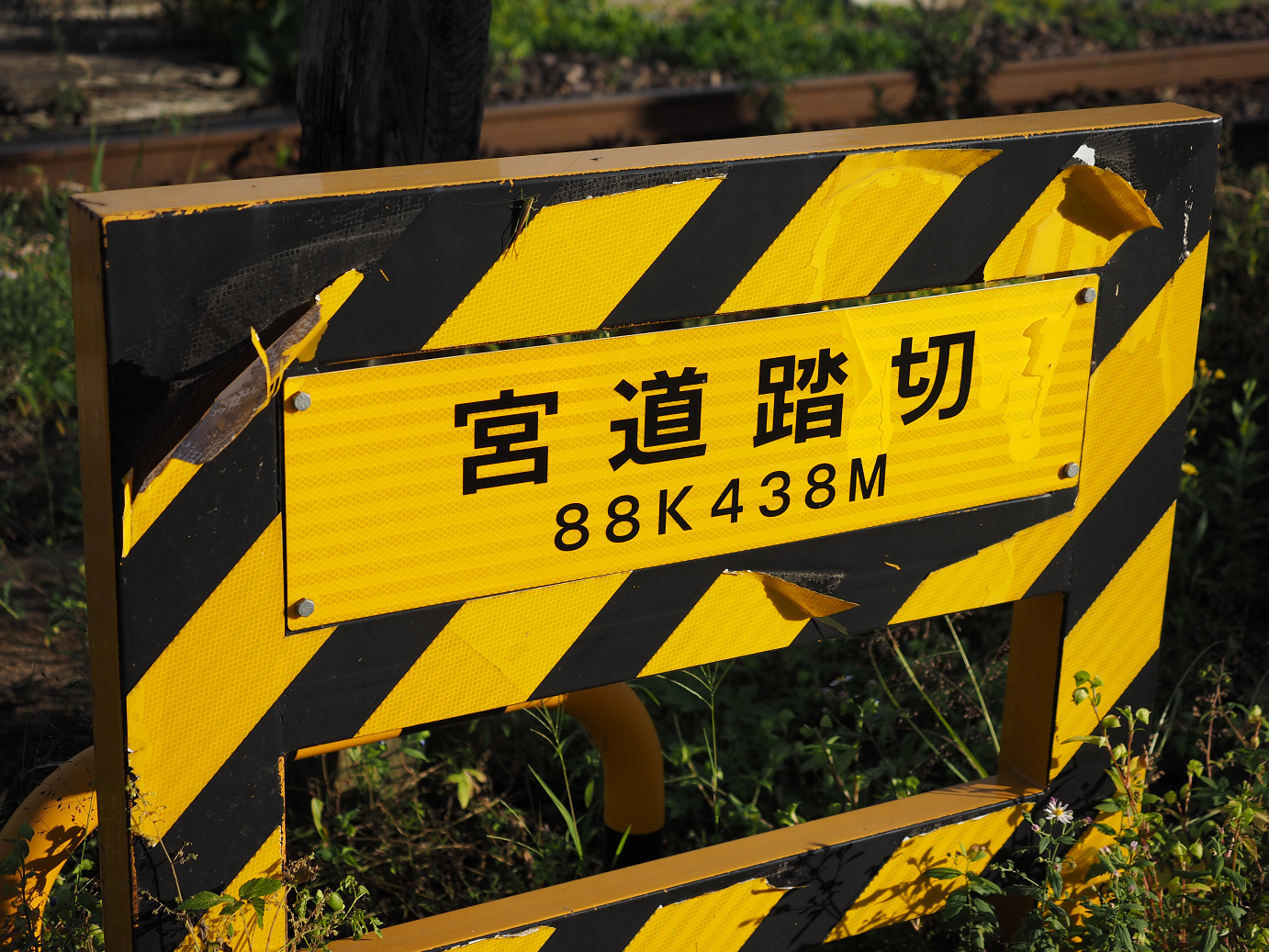 P9211815.jpg
