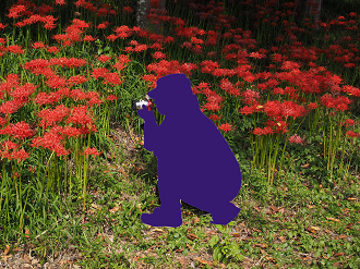 P9231991_thumb.png