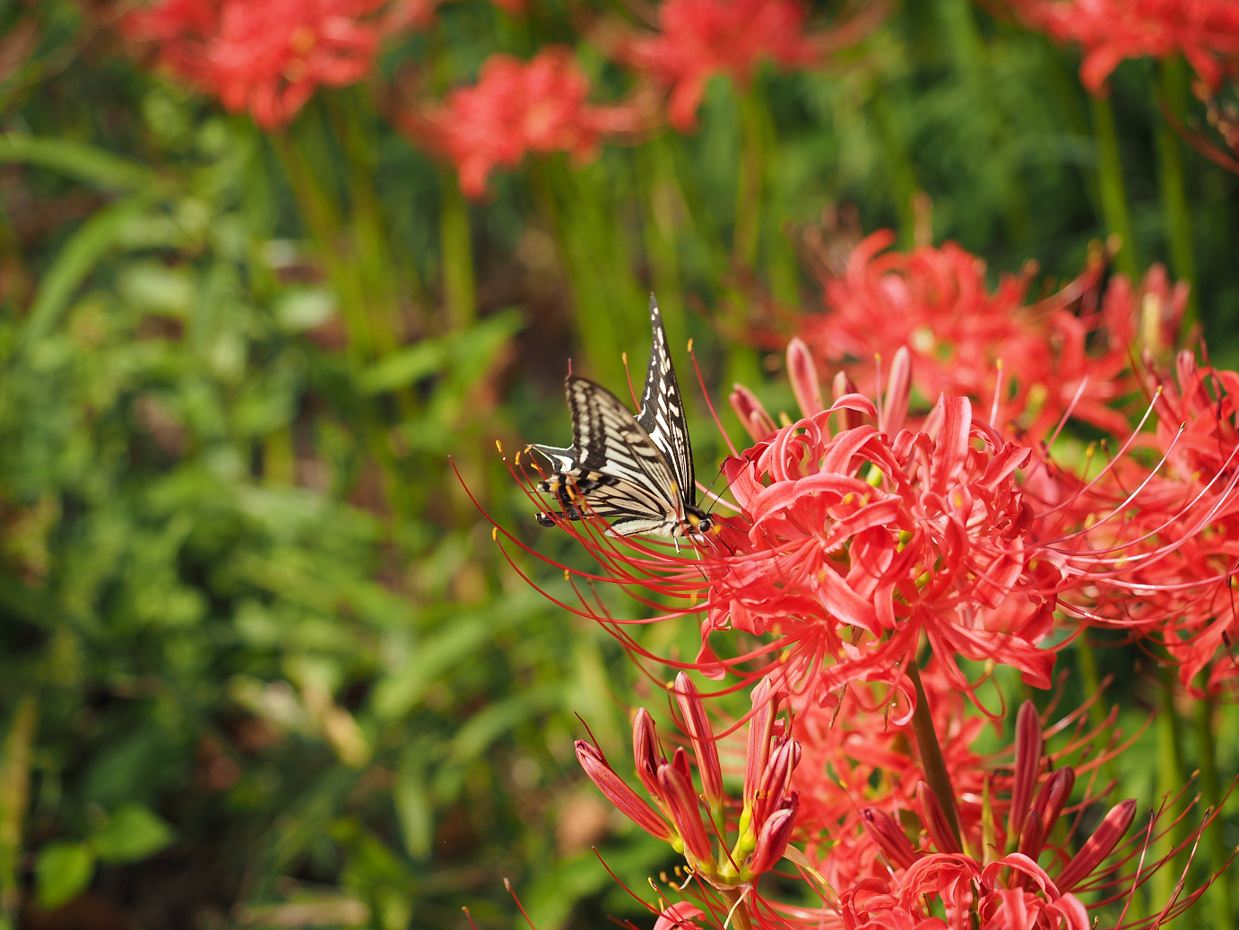 P9232013.jpg