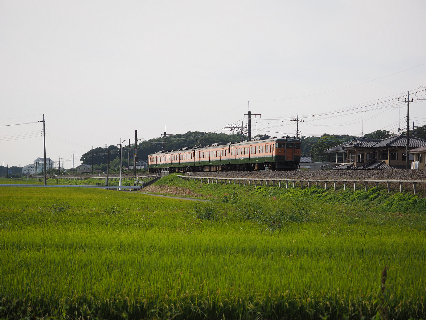 P9232027.jpg