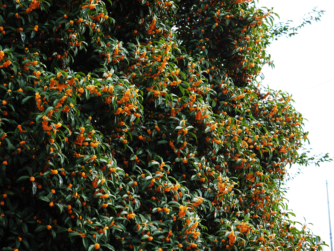 P9272111.jpg
