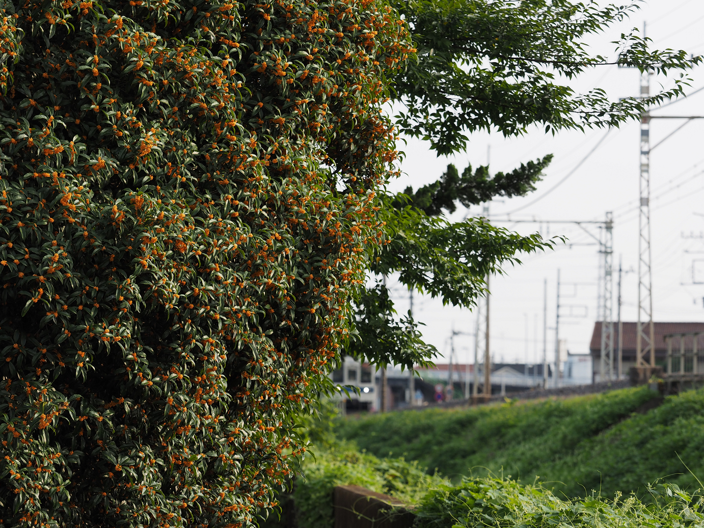P9272159.jpg