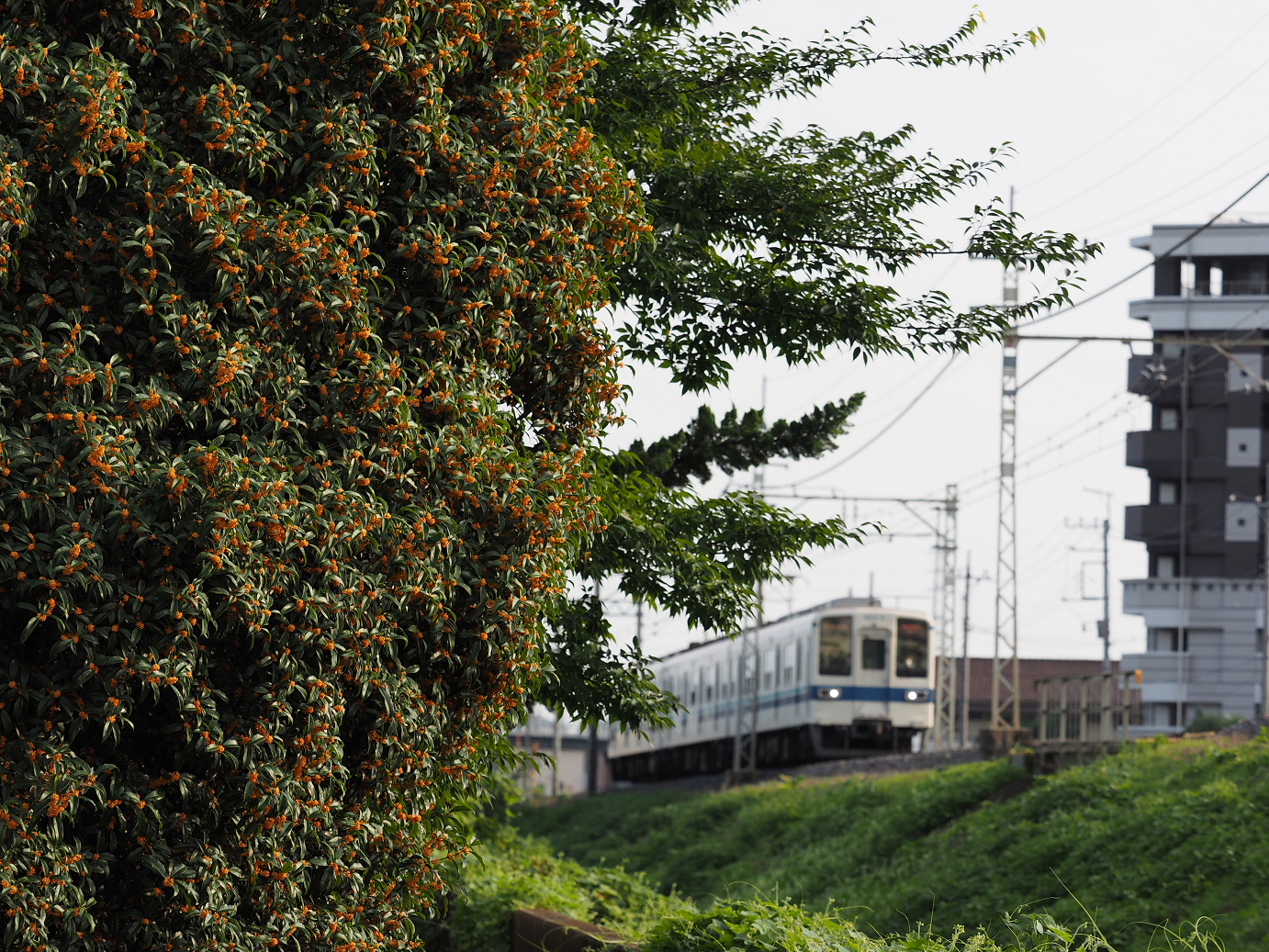 P9272163.jpg