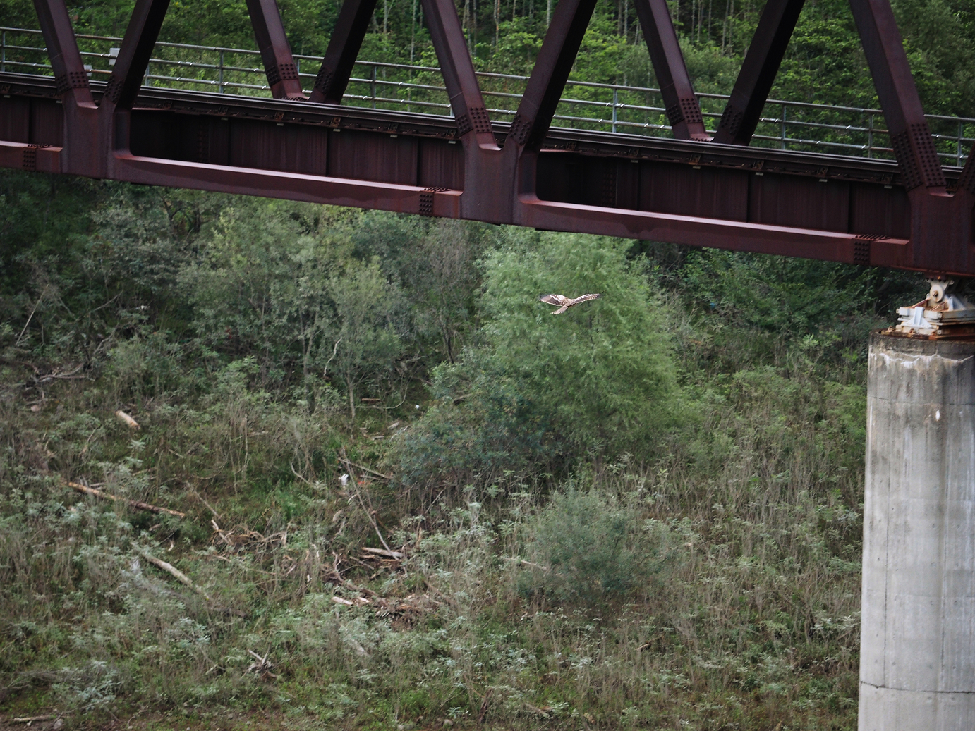 PA030012.jpg