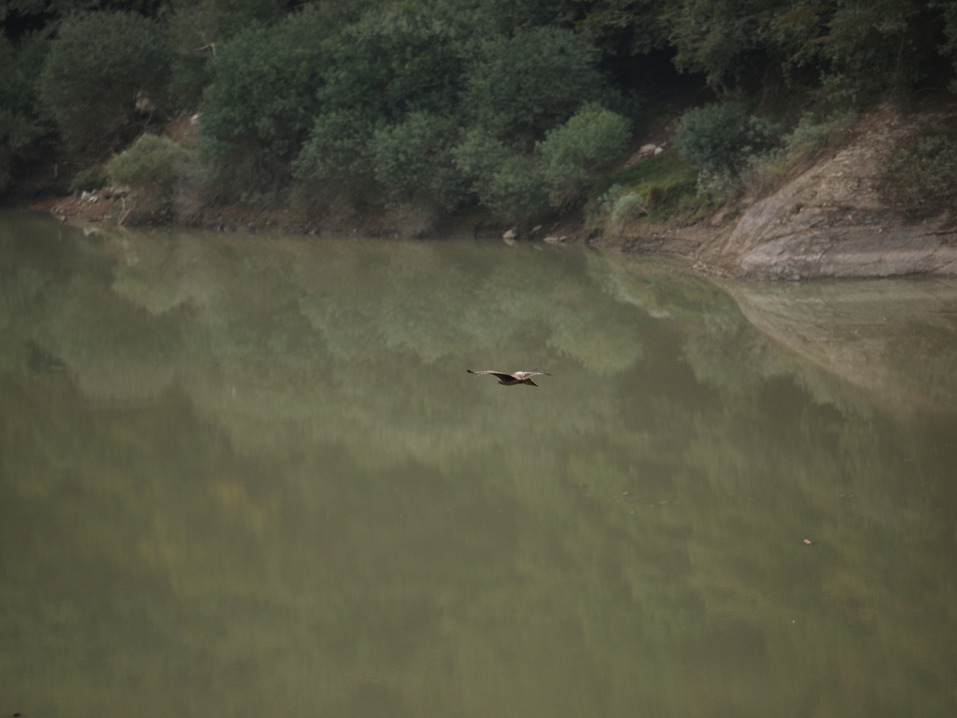 PA030014.jpg