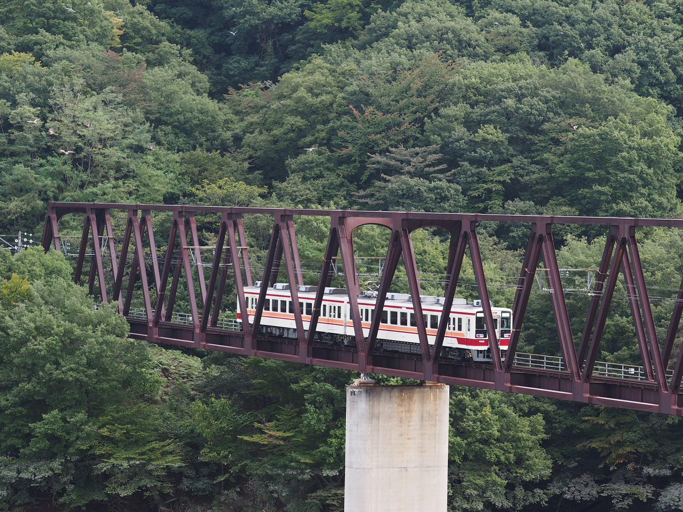 PA030041.jpg